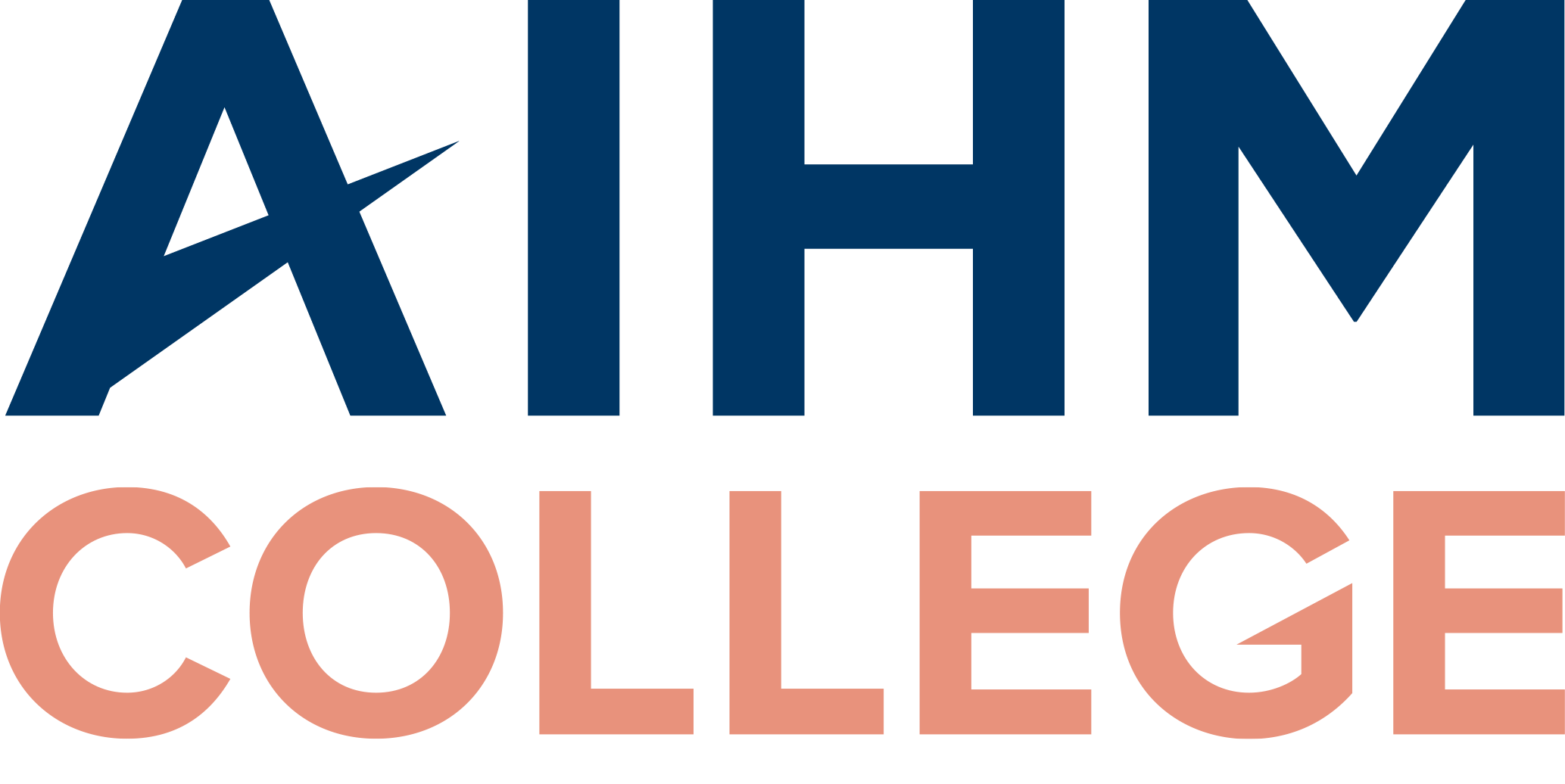 AIHM Collage logo1